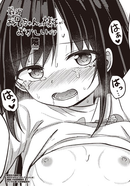 【単話】最近お兄ちゃんの様子がおかしいです（単話）❤隣｜評価