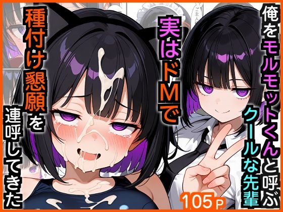 【制服】俺をモルモットくんと呼ぶクールな先輩 実はドMで種付け懇願を連呼してきた❤｜評価5.00