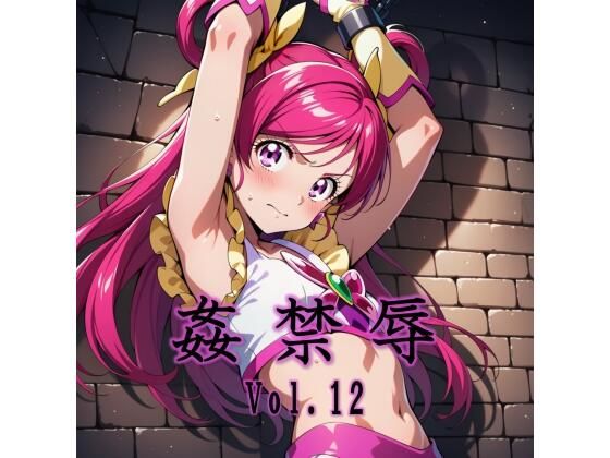 【拘束】姦禁辱 vol.12❤｜評価5.00