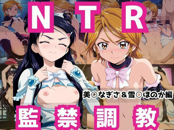 【辱め】敗北ヒロイン強●NTR調教！快楽堕ちして肉便器に【美○なぎさ＆雪○ほのか編】❤｜評価