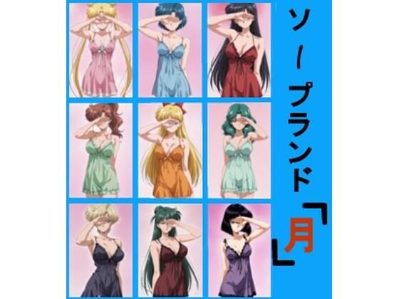 【巨乳】ソープランド 月❤｜評価