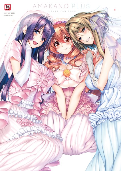 【単行本】アマカノ＋ ビジュアルファンブック❤アマカノ＋ ビジュアルファンブック｜評価5.00