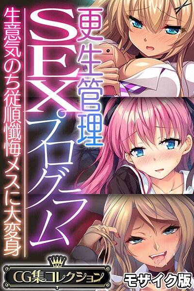 【フルカラー】更生管理SEXプログラム 〜生意気のち従順懺悔メスに大変身〜【CG集コレクション】 モザイク版❤大人のSEXY絵本｜評価