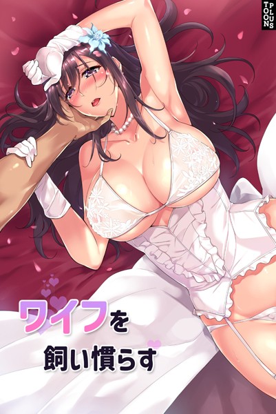 【フルカラー】ワイフを飼い慣らす❤ワイフを飼い慣らす｜評価4.20